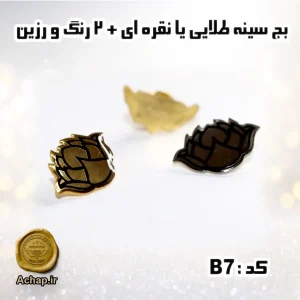 بج سینه با رزین