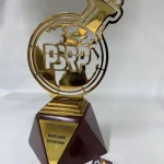 تندیس فلزی (3)